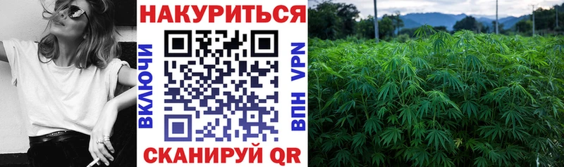 Каннабис Amnesia  Купить закладки  Няндома 